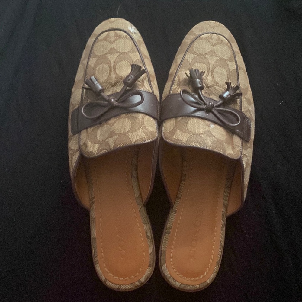 Mule size 10